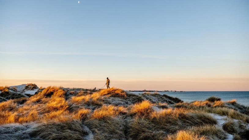 Vandretur i klitterne ved Vesterhavet