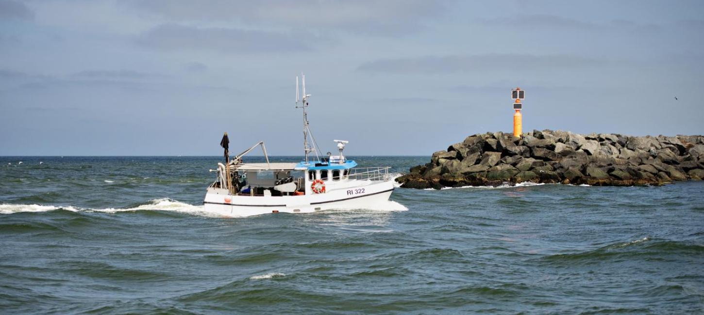 Fiskeri på havet